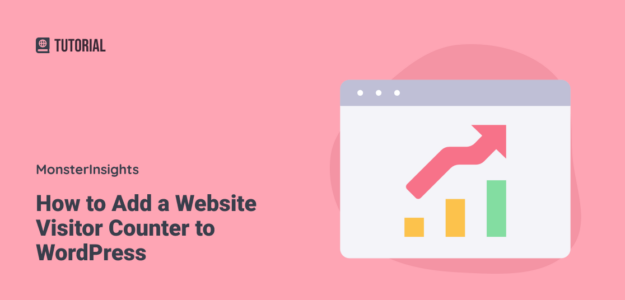 How to Add a Website Visitor Counter to WordPress