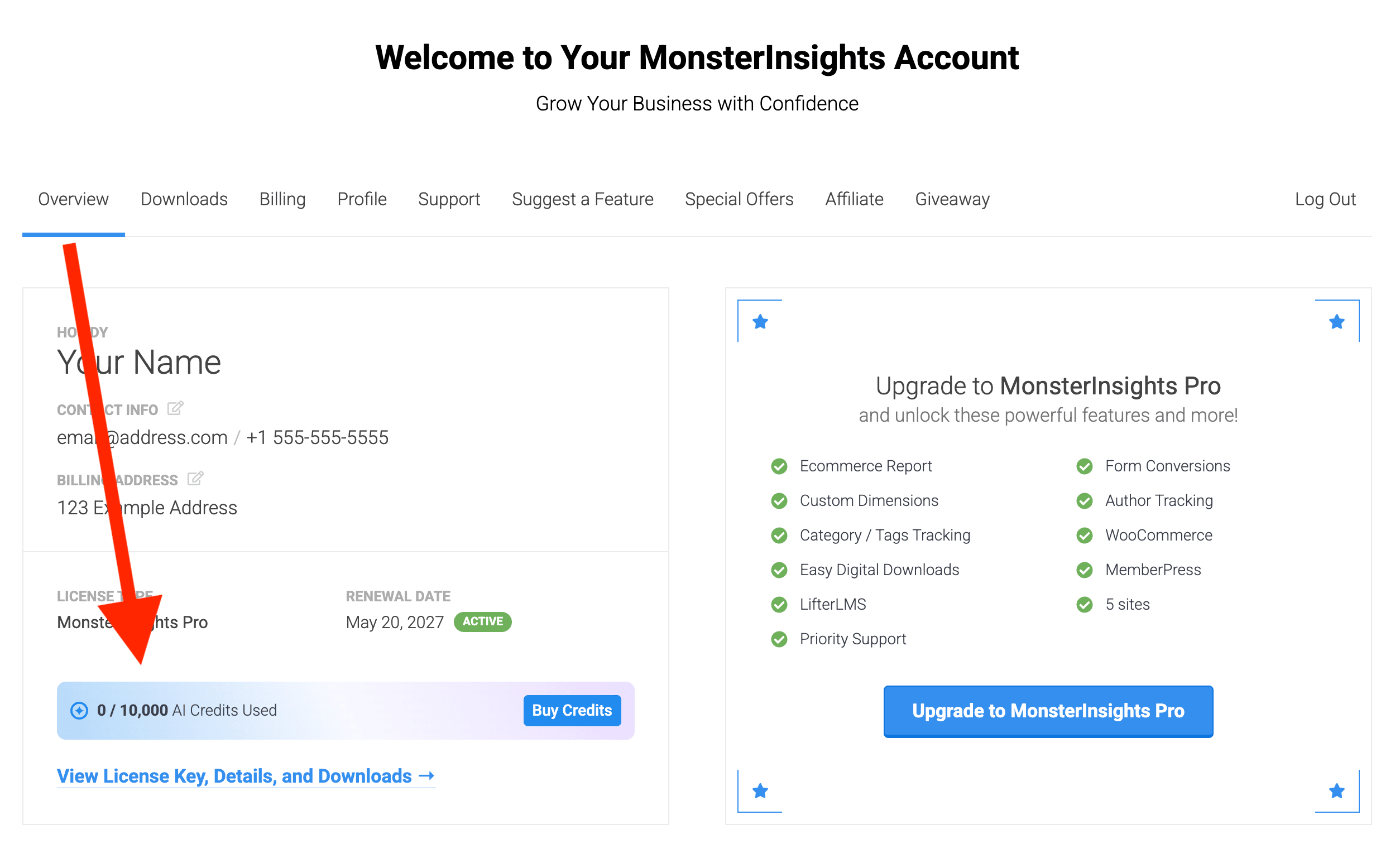 Your MonsterInsights account page showing the AI Credits Used indicator and Buy Credits button on the Overview tab