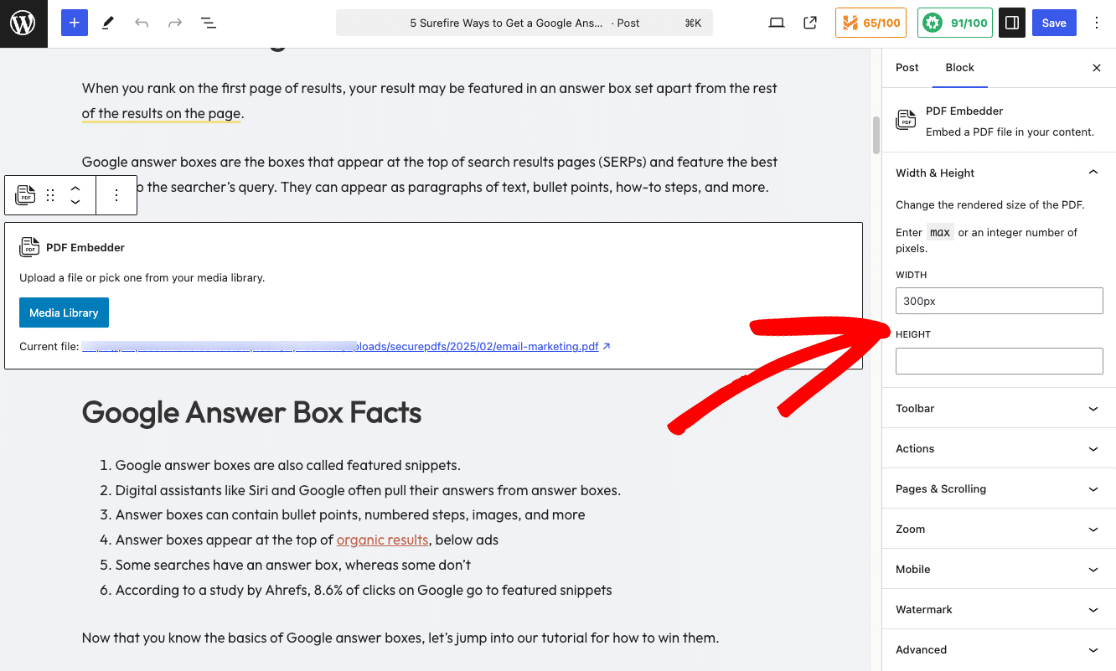 pdf-embedder-options - MonsterInsights PDF Embedder block settings in the WordPress editor showing display options