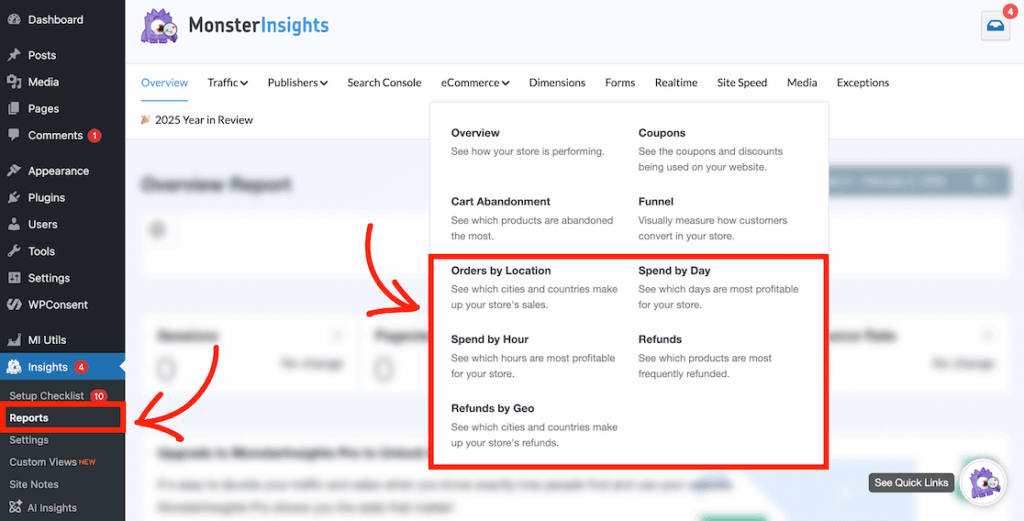 Access new eCommerce reports MI
