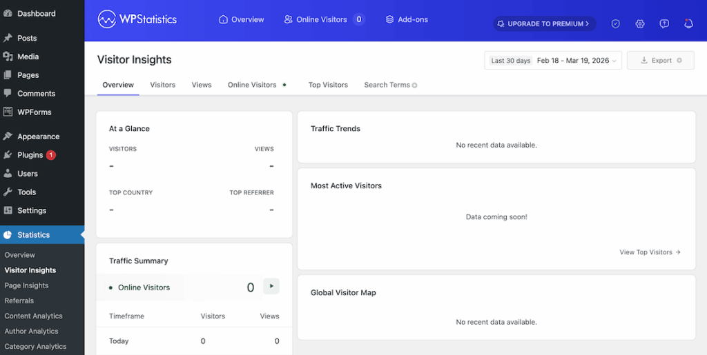 WP Statistics visitor insights