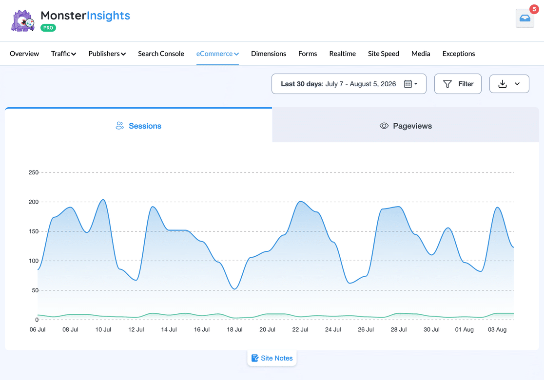 MonsterInsights eCommerce report header showing the Filter and Export Report buttons above the Sessions and Pageviews tabbed graph